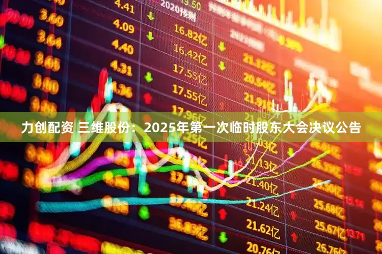 力创配资 三维股份：2025年第一次临时股东大会决议公告